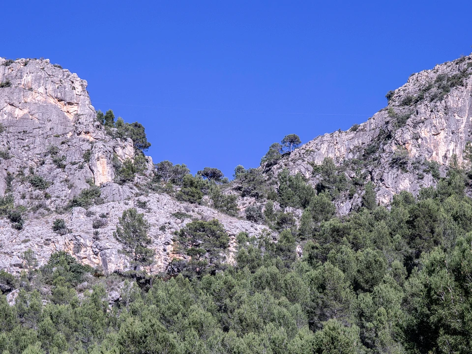 Paisaje de la Serra Falconera