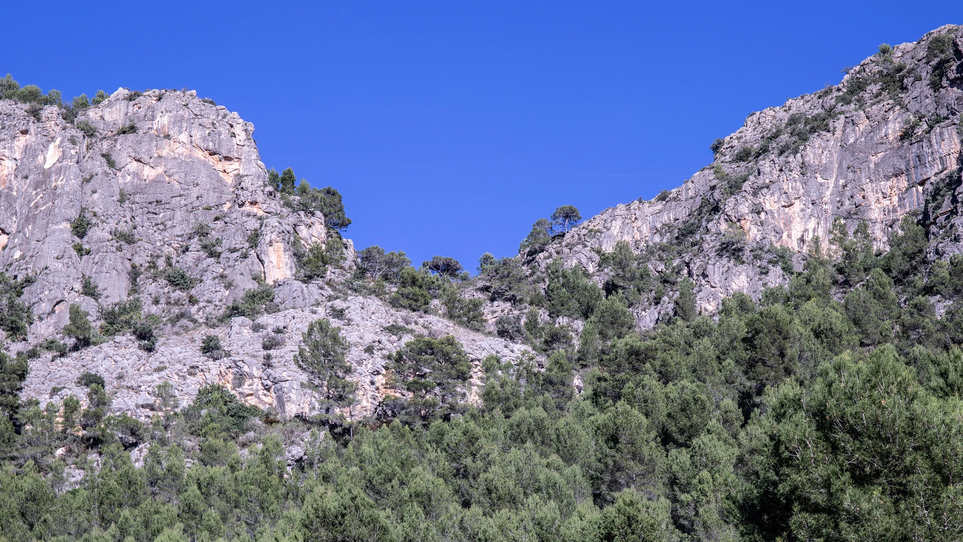 Paisaje de la Serra Falconera